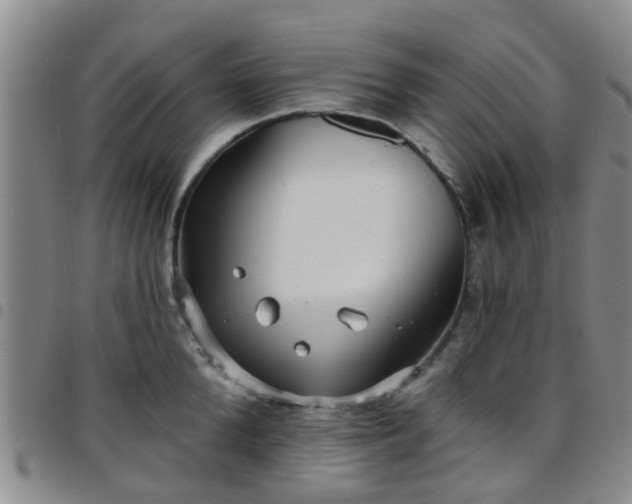 X0000097750904200803141554