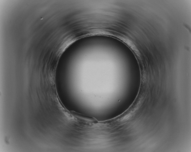 X0000097750905200803141554