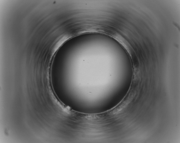 X0000097750906200803141554