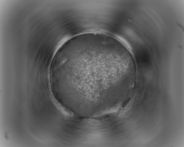 X0000097750907200803141554