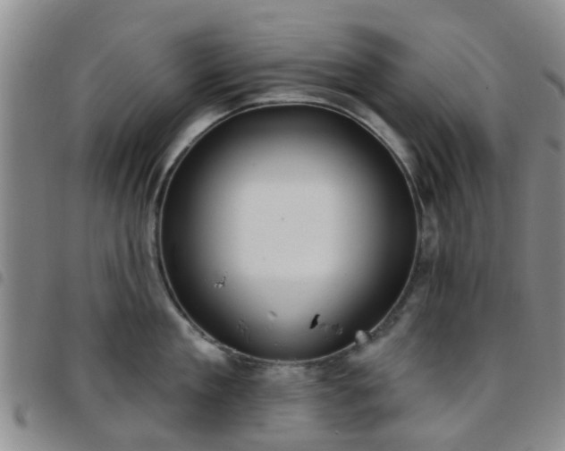 X0000097750909200803141554