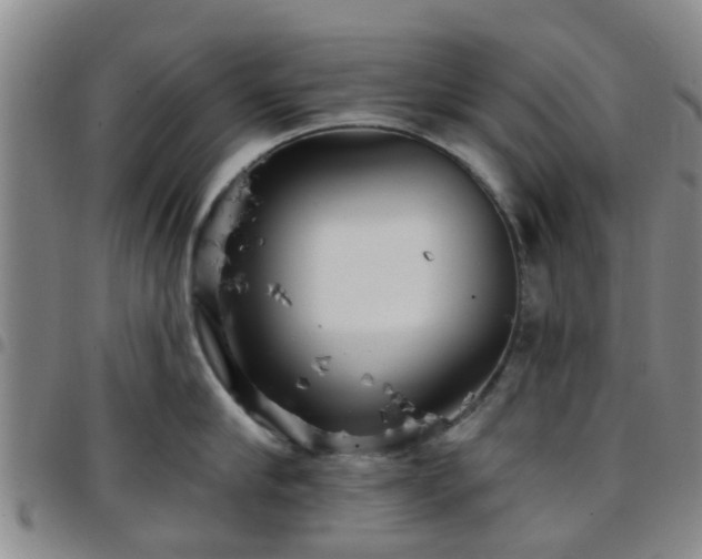 X0000097750910200803141554