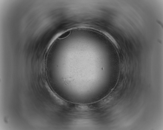 X0000097750911200803141554