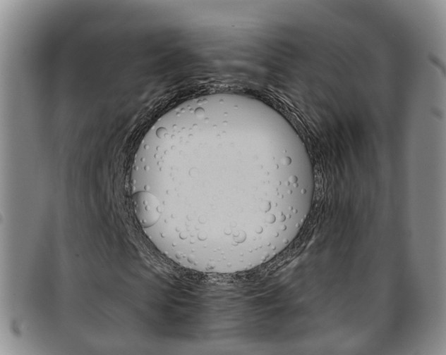 X0000097750913200803141553