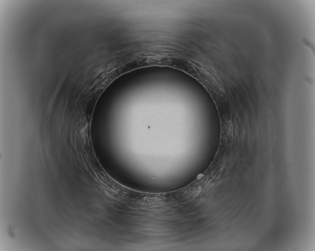 X0000097750914200803141553