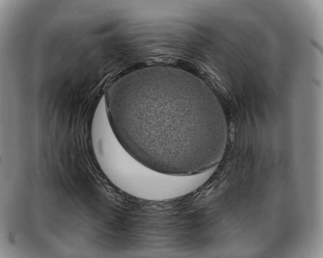 X0000097750915200803141553