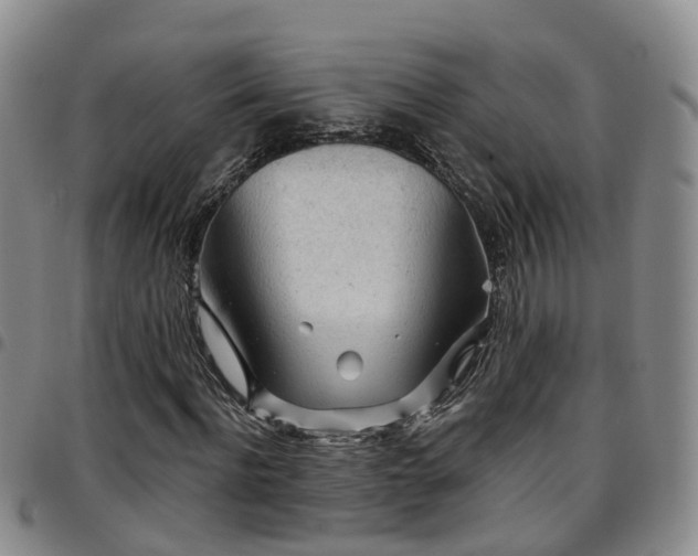 X0000097750916200803141553