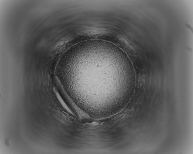 X0000097750917200803141553