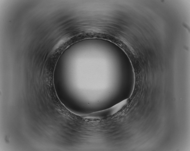 X0000097750919200803141553