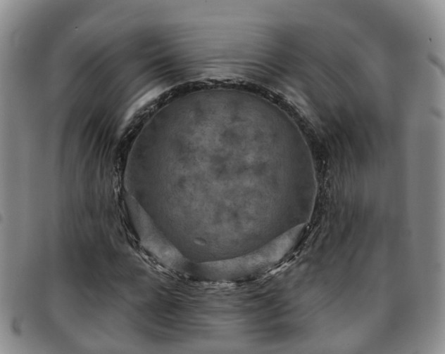 X0000097750920200803141553