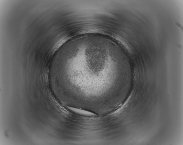 X0000097750921200803141553