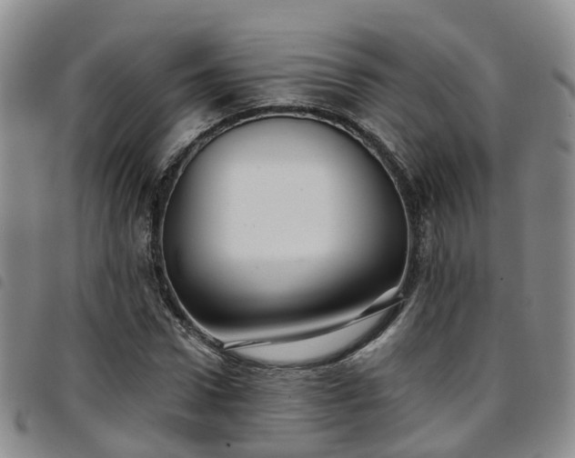 X0000097750922200803141553