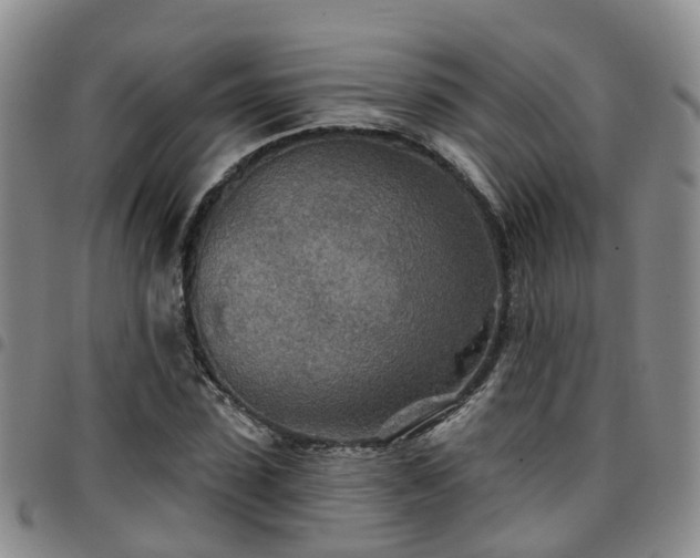 X0000097750923200803141553