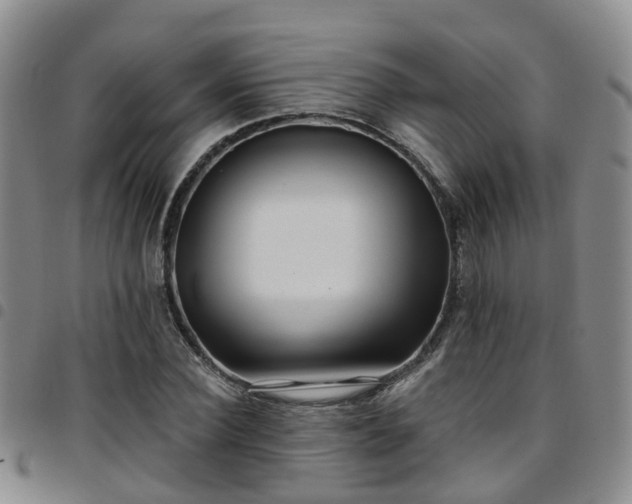 X0000097750924200803141553