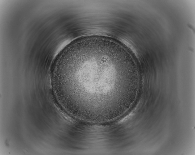 X0000097750925200803141553