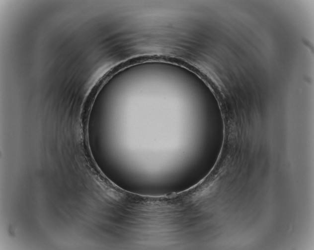 X0000097750927200803141553