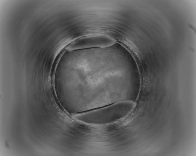 X0000097750928200803141553