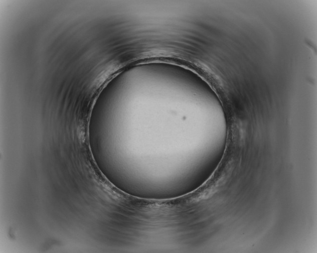 X0000097750929200803141553