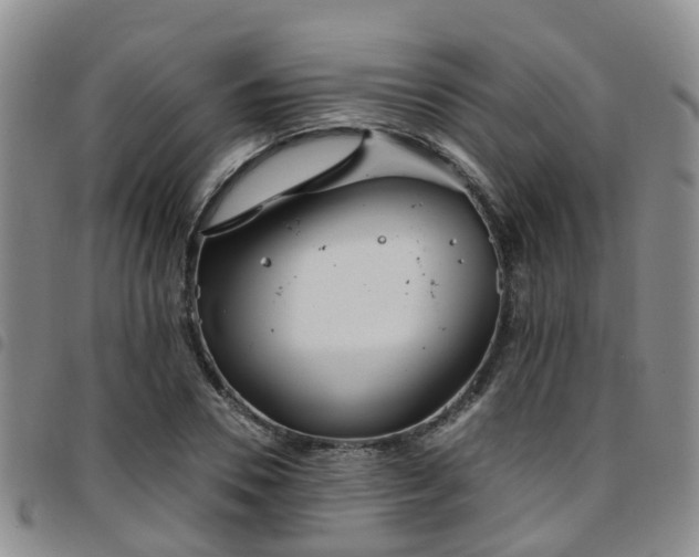 X0000097750930200803141553