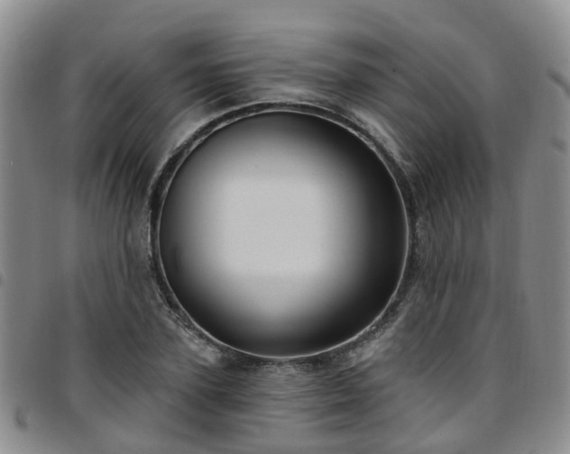 X0000097750931200803141553