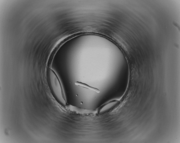 X0000097750932200803141553