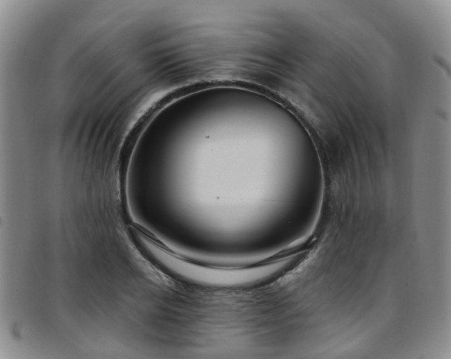 X0000097750934200803141553