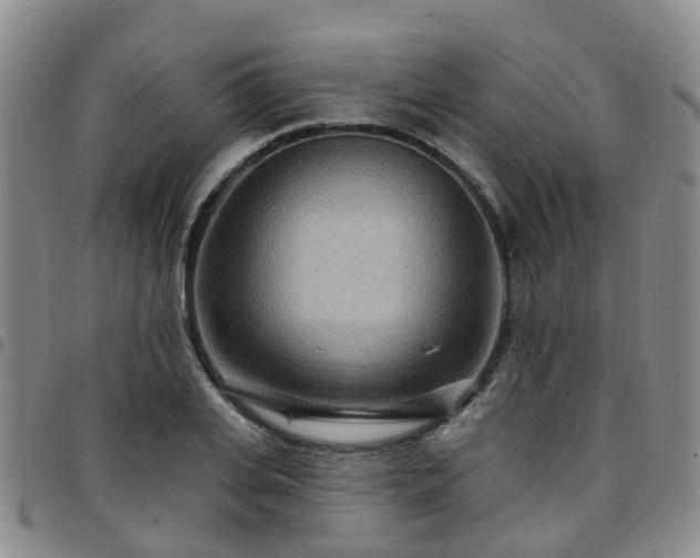 X0000097750935200803141553