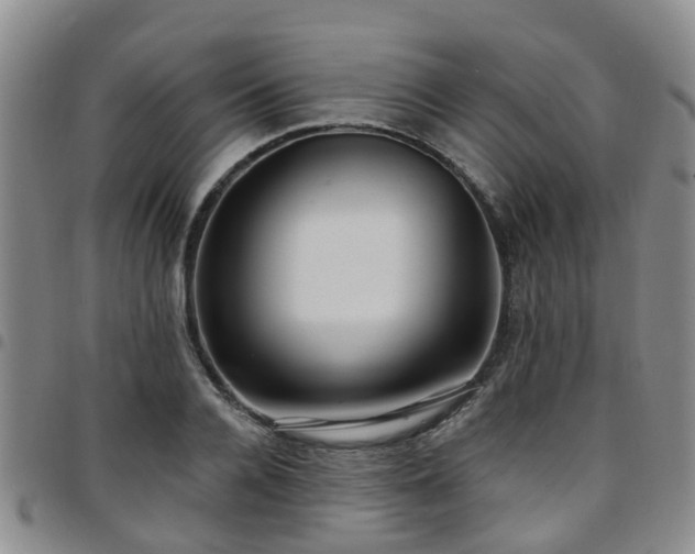 X0000097750936200803141553