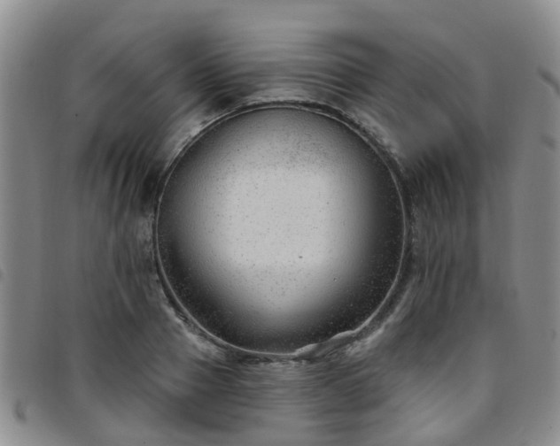 X0000097750937200803141553