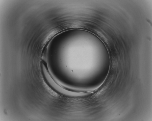 X0000097750938200803141553