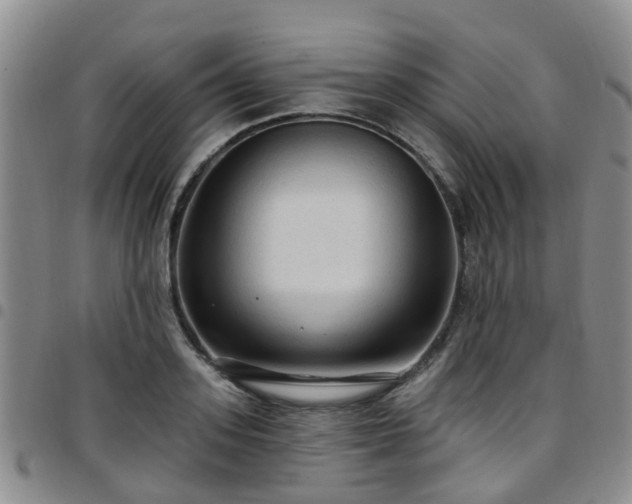 X0000097750939200803141553