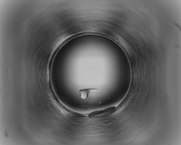 X0000097750940200803141553