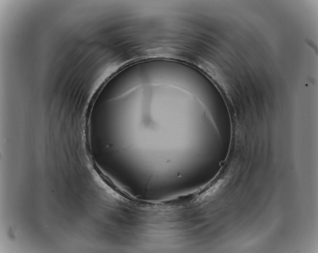 X0000097750941200803141553