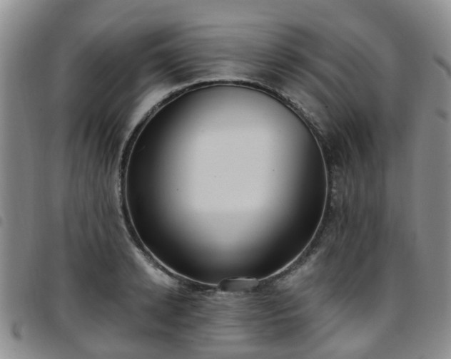 X0000097750942200803141553