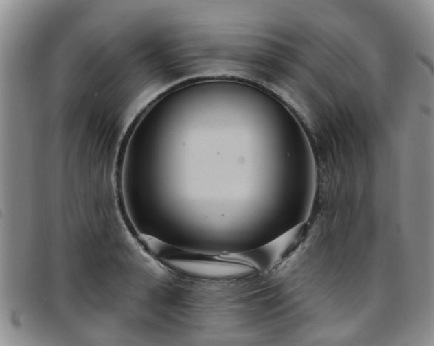 X0000097750943200803141554