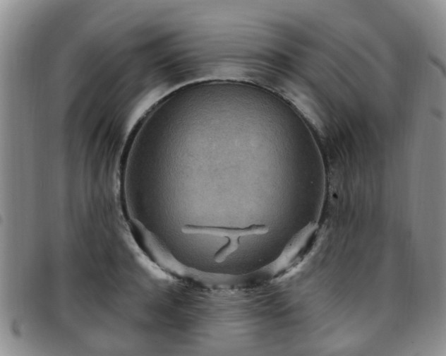 X0000097750944200803141554