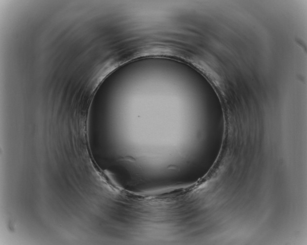 X0000097750945200803141554