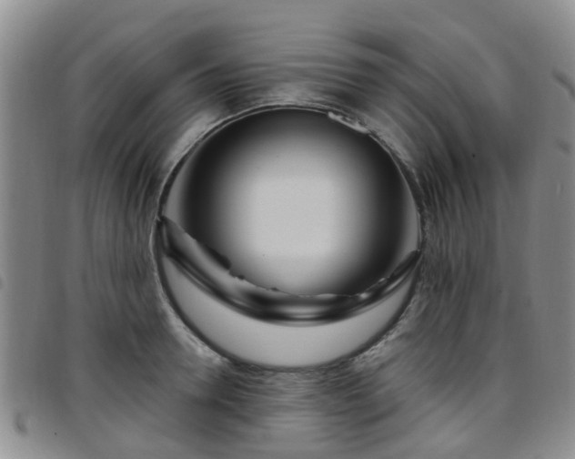 X0000097750946200803141554