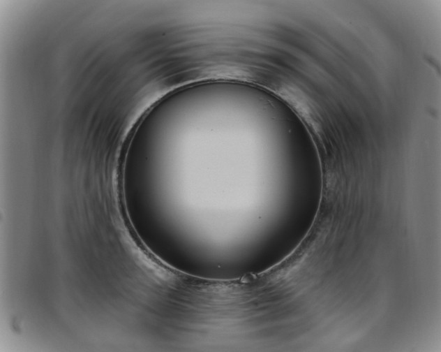 X0000097750947200803141554