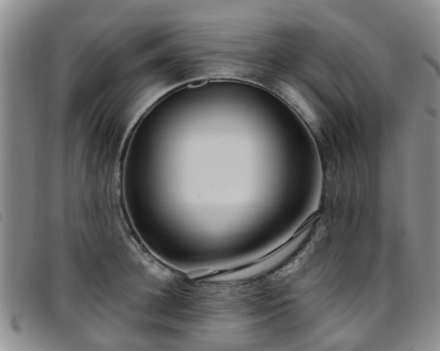 X0000097750948200803141554