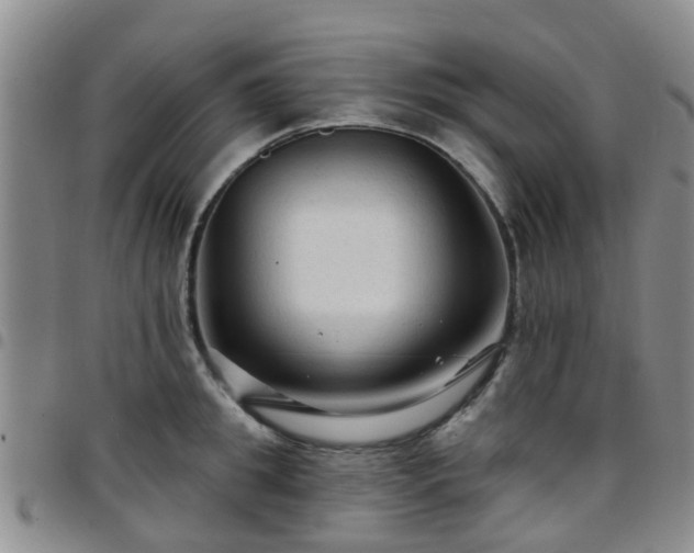 X0000097750949200803141554