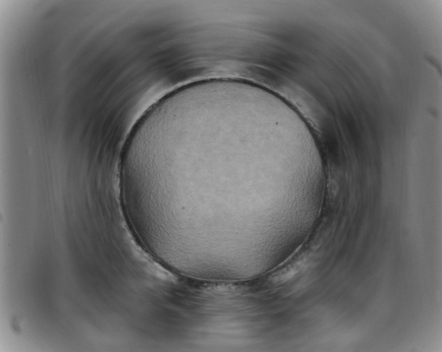 X0000097750950200803141554