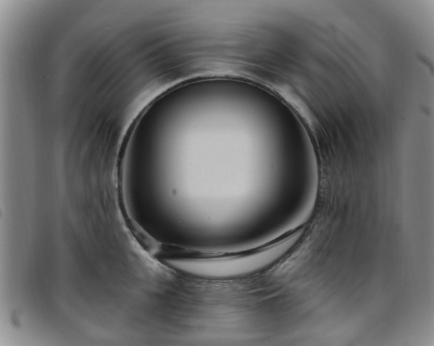 X0000097750951200803141554