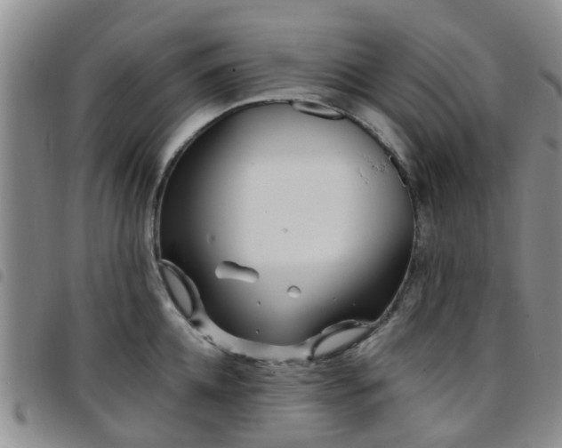 X0000097750952200803141554