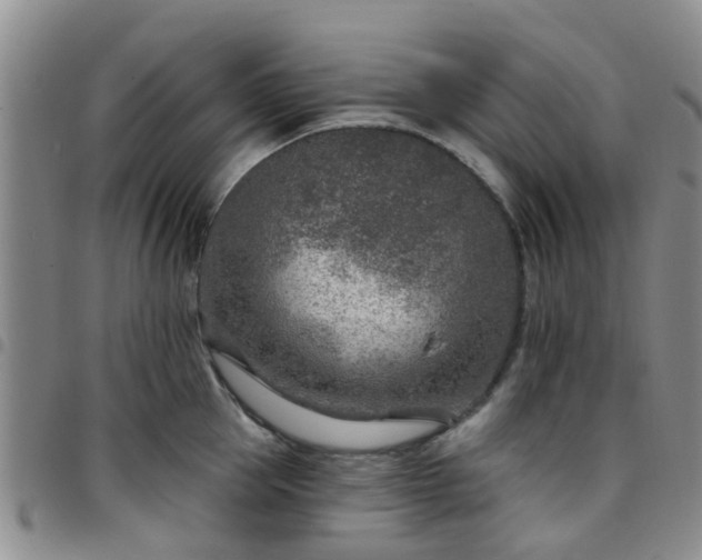 X0000097750953200803141554