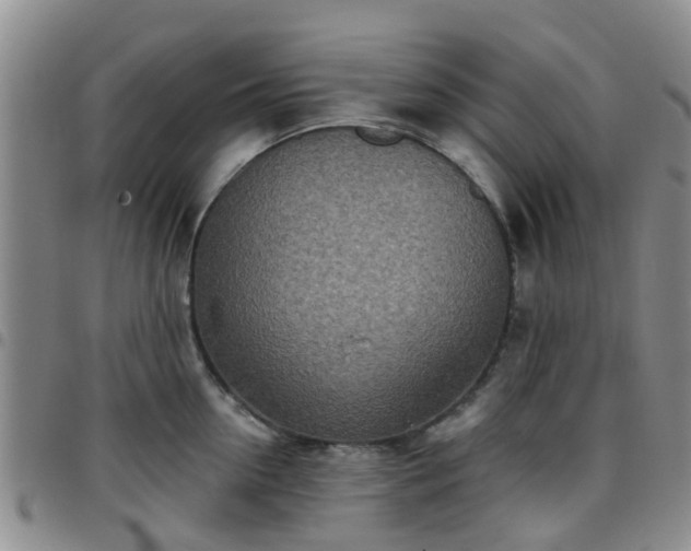 X0000097750954200803141554