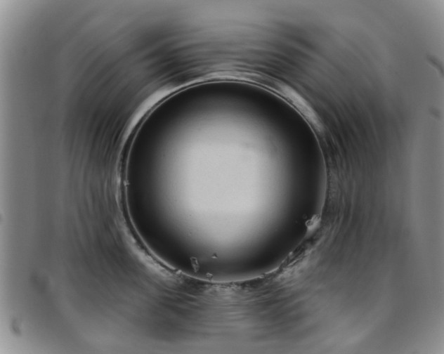 X0000097750955200803141554