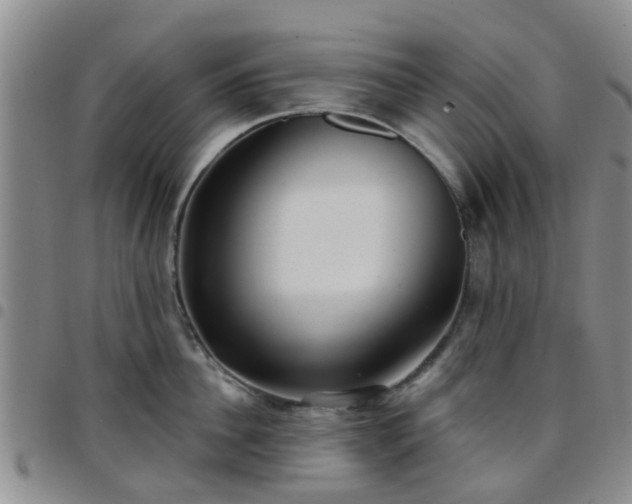 X0000097750956200803141554