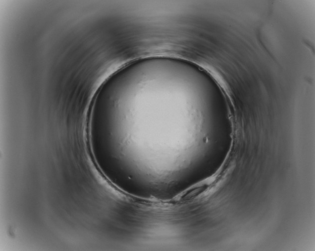 X0000097750957200803141554