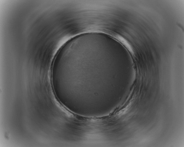 X0000097750958200803141554